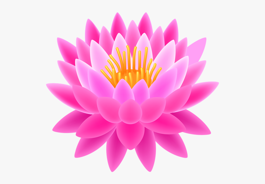 Clip Art Image Result For Images - Lotus Flower Png Background, Transparent Clipart