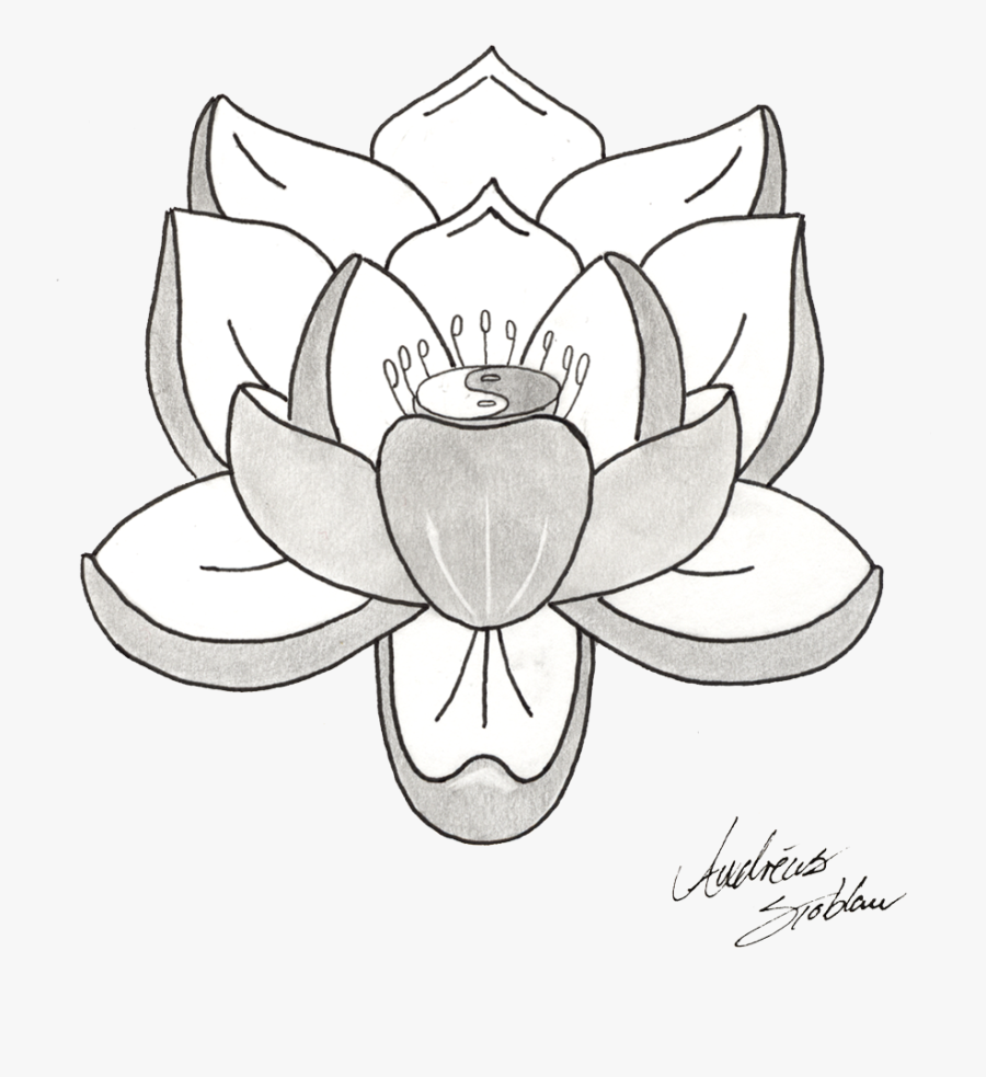 Lotus Tattoos Clipart Transparent - Transparent Background Black And White Lotus Flower, Transparent Clipart