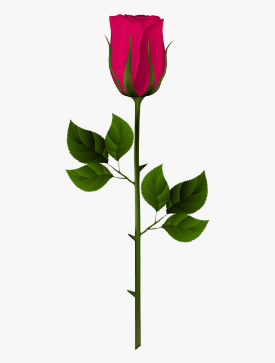 Free Png Pink Rose Bud Png Images Transparent - Clip Art Rose Bud, Transparent Clipart