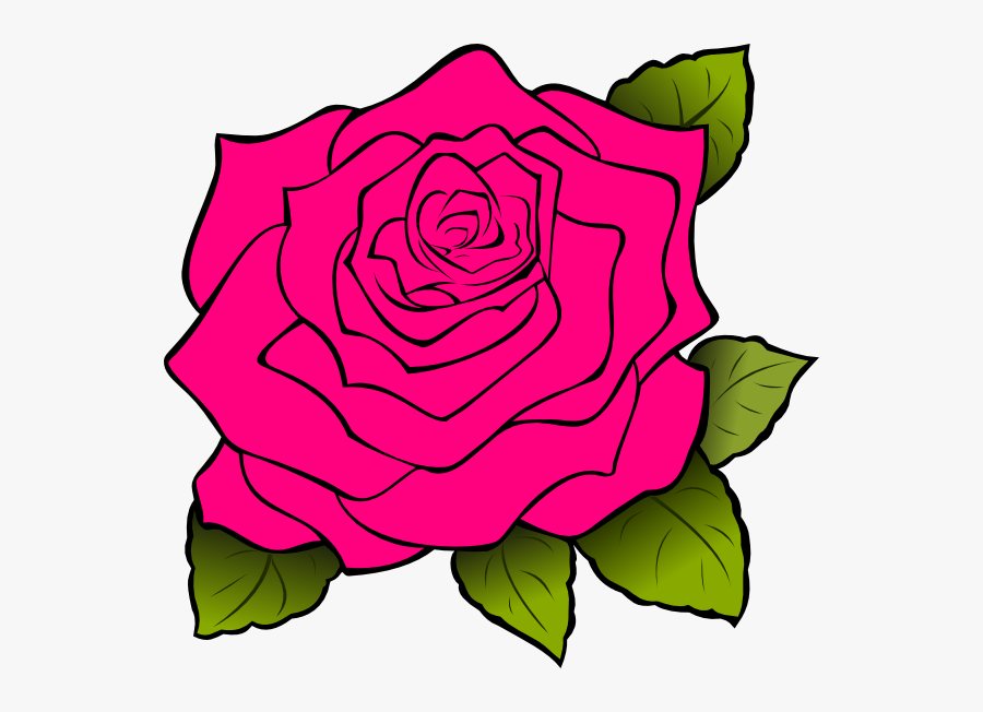 Pink - Rose - Clip - Art - Blue Rose Clipart, Transparent Clipart