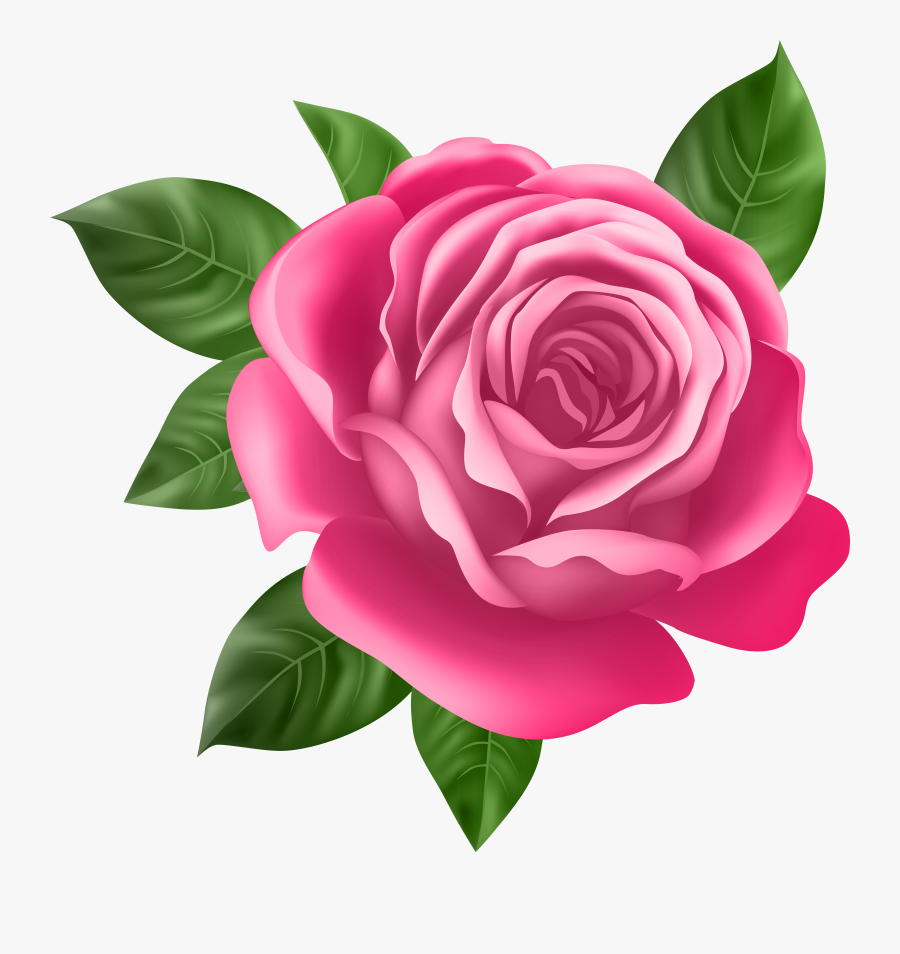 Pink Rose Transparent Png Clip Art, Transparent Clipart