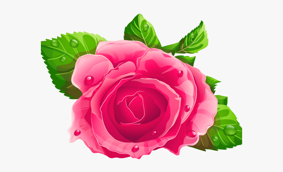 Bday Wishes For Mother In Marathi, Transparent Clipart