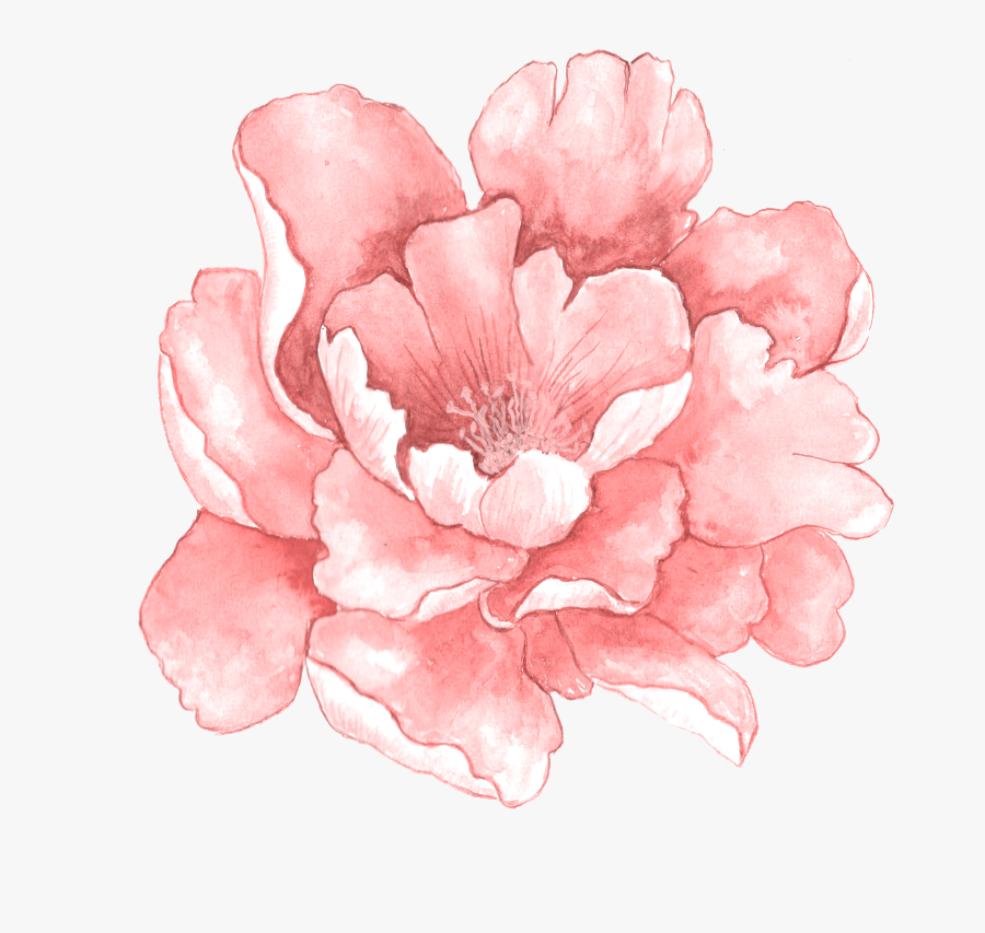 Pink Rose Clipart Cute - Pink Watercolor Flower Png, Transparent Clipart