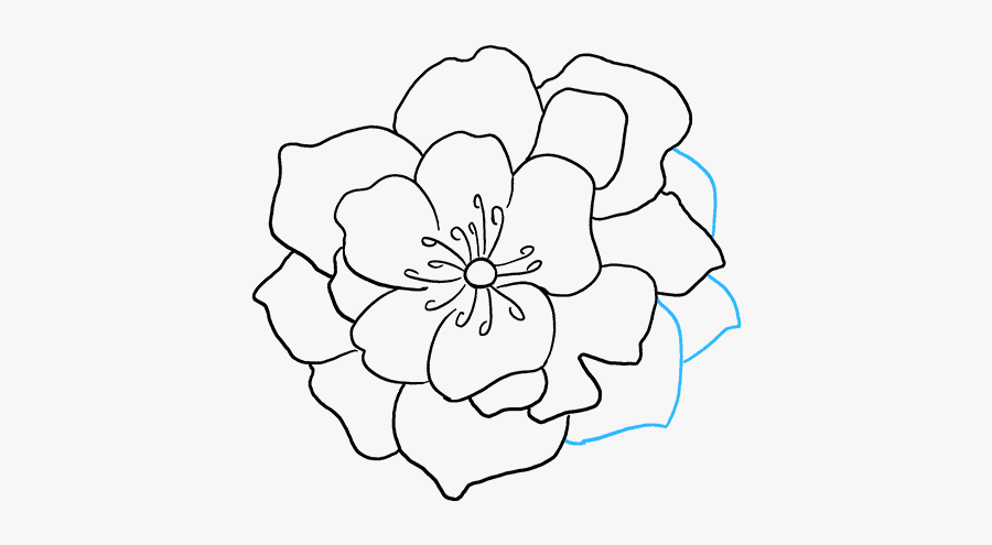 How To Draw Peony - Line Art, Transparent Clipart
