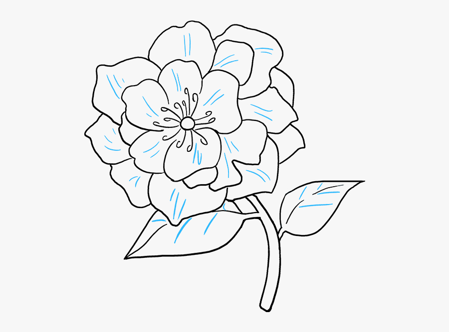 Clip Art How To Draw A - Peony Flower Drawing Easy, Transparent Clipart