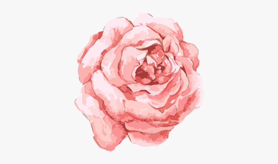 Pink Watercolor Flower Png, Transparent Clipart