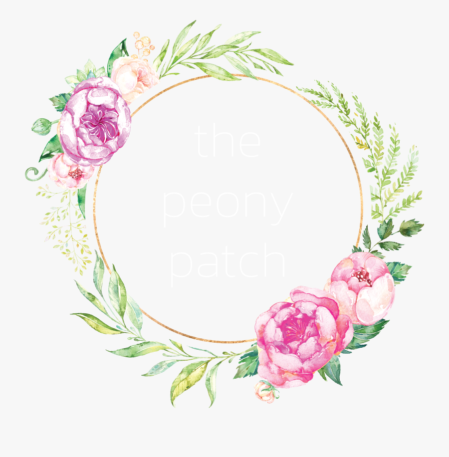 Rose, Transparent Clipart