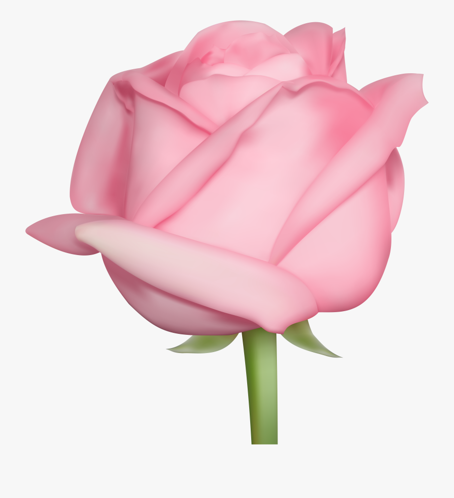 Pink Rose Clip Art - Rose, Transparent Clipart