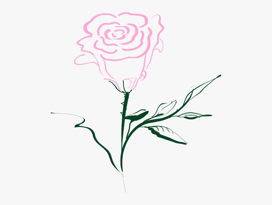 Pink Rose Outline Png, Transparent Clipart