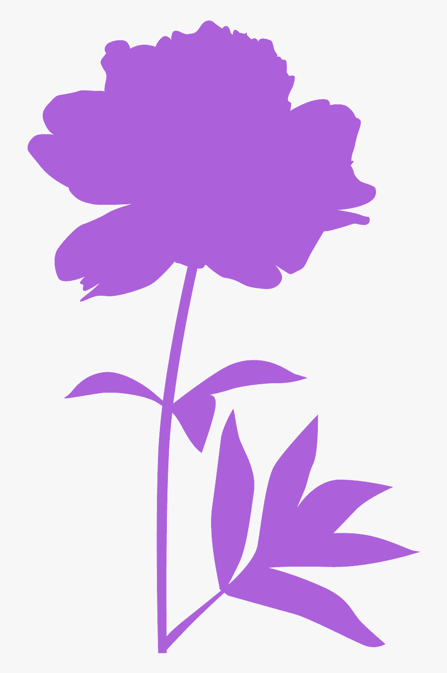 Begonia Silhouette, Transparent Clipart