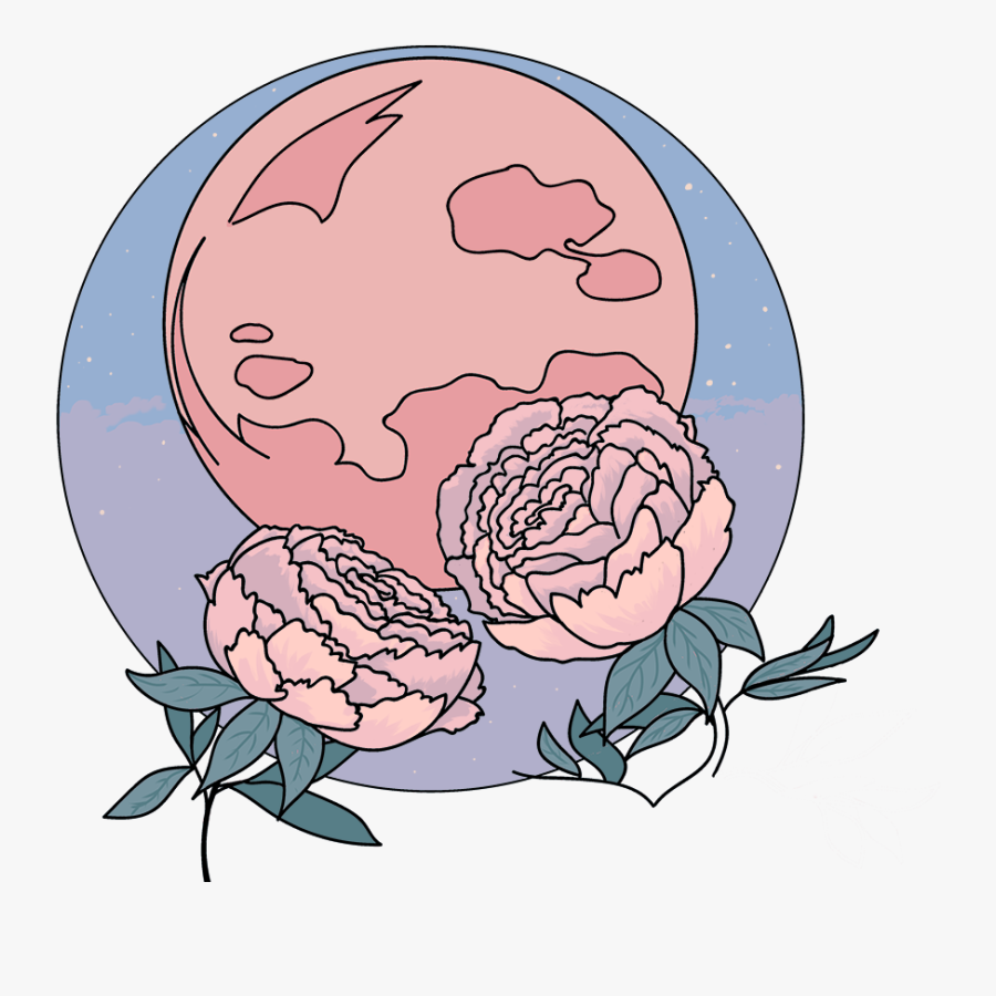 Garden Roses, Transparent Clipart