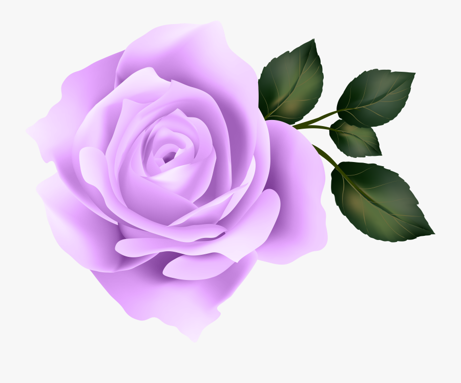 Purple Rose Clip Art Image, Transparent Clipart