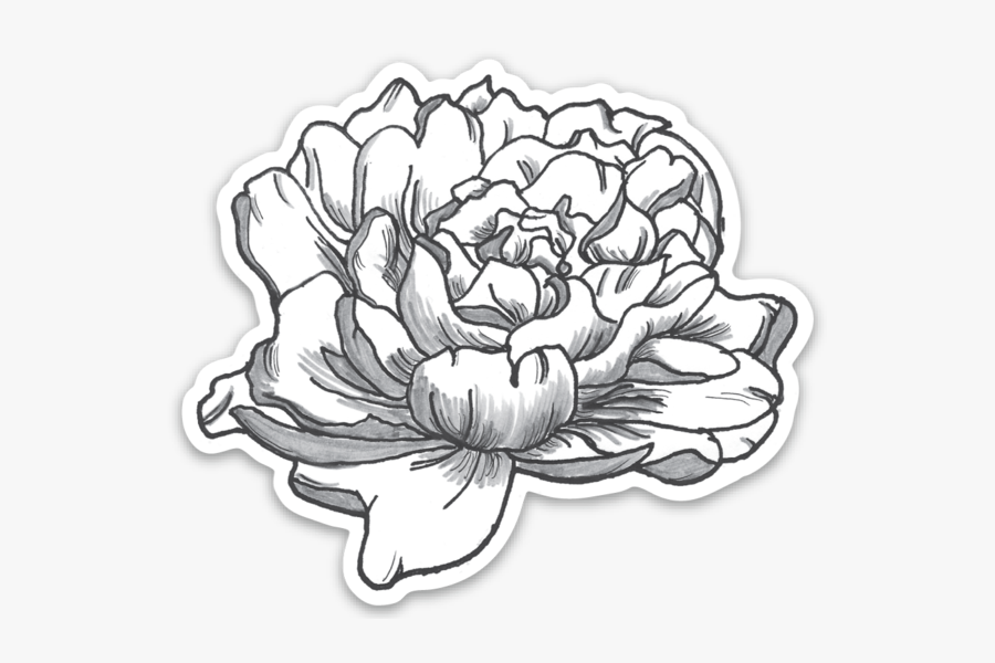 Peony Vinyl Sticker - Chrysanths, Transparent Clipart