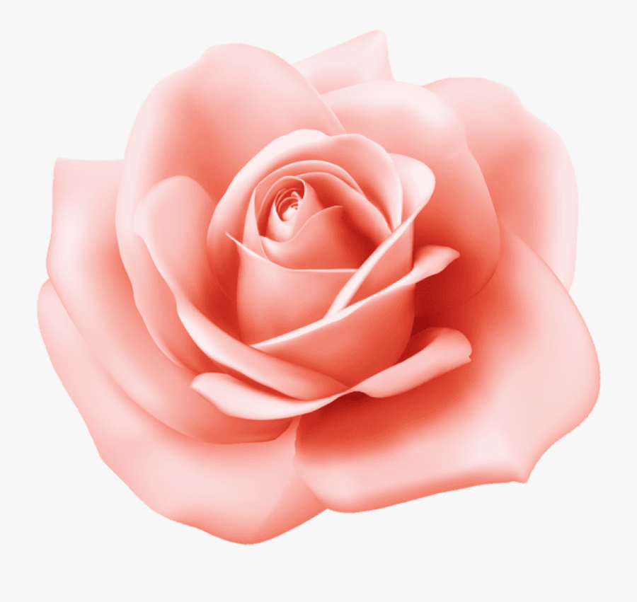 Pink Rose Clipart - Pink Small Rose Clipart, Transparent Clipart