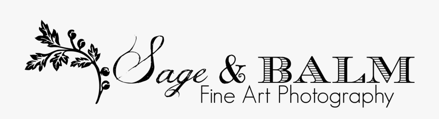 Cejlomlix0jeyug9g42m - Calligraphy, Transparent Clipart