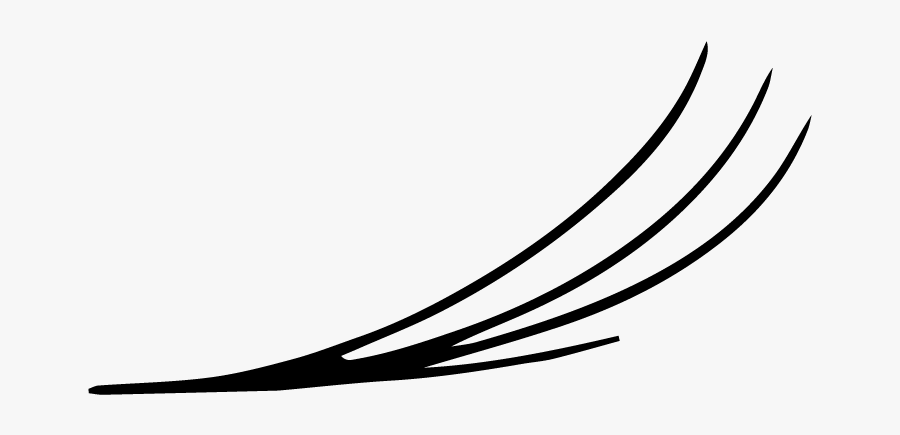 Lashes-03 - Line Art, Transparent Clipart