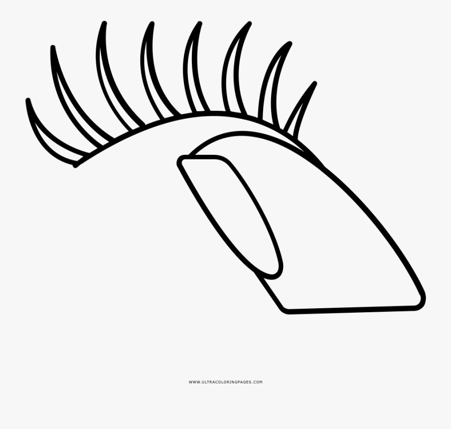 False Eyelashes Coloring Page - Line Art, Transparent Clipart