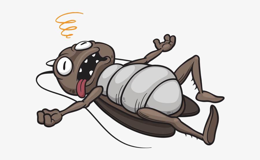Dead Cockroach Cartoon, Transparent Clipart
