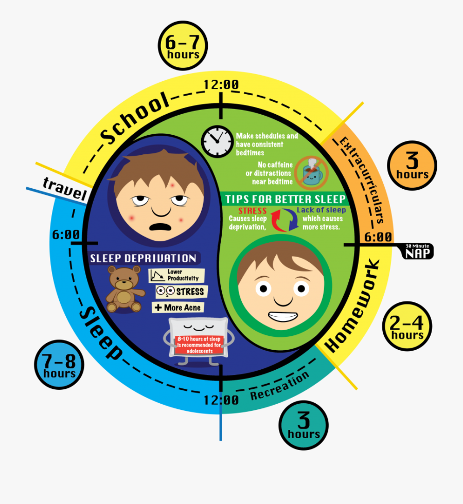 Circle, Transparent Clipart