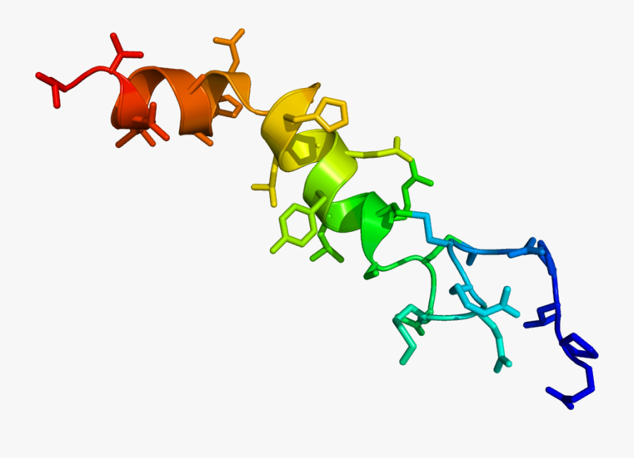 1r02 Crystallography - Narcolepsy Mean, Transparent Clipart