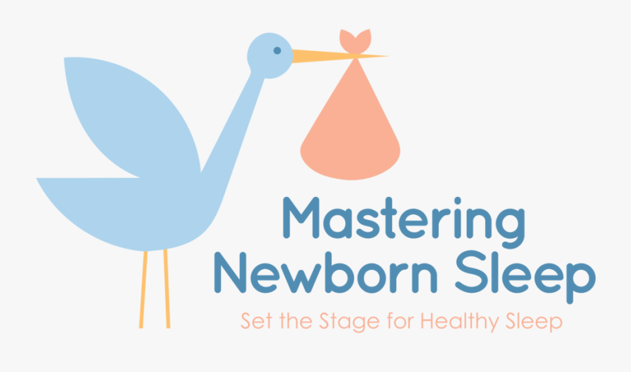 Mastering Newborn Sleep Logo With Tag - Raspberry Pi, Transparent Clipart