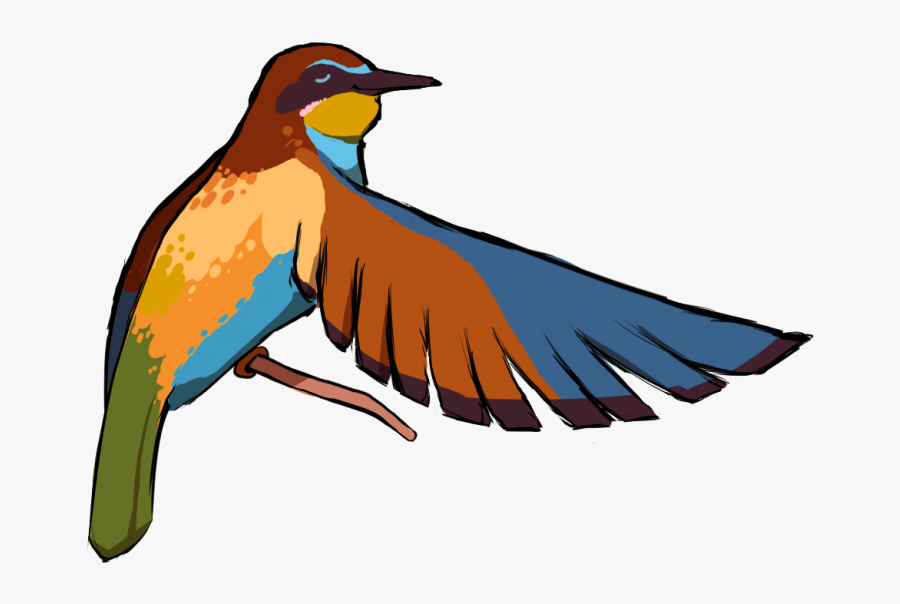 Well Done For Cementík - Coraciiformes, Transparent Clipart
