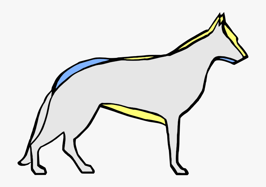 German Shepherd Dog In The Past And Now - German Shepherd In Past, Transparent Clipart