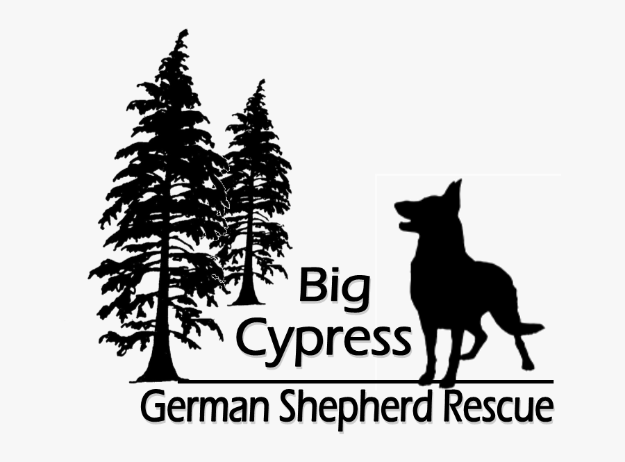 Big Cypress German Shepherd Rescue, Transparent Clipart