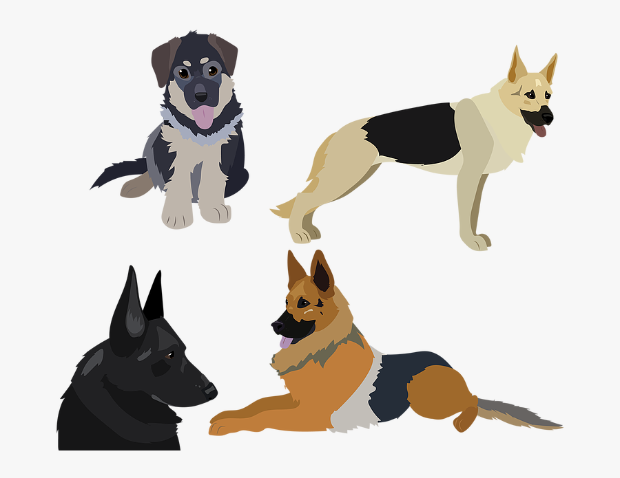 German Shepherd Vector, Transparent Clipart