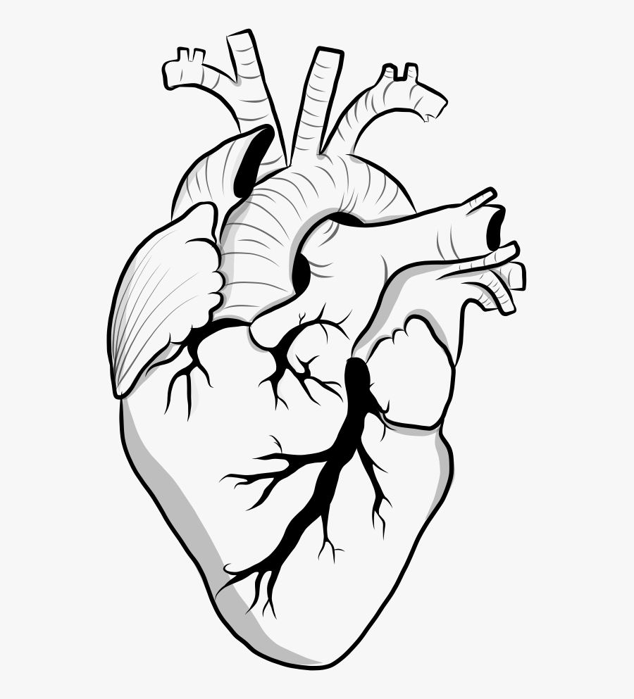 Heart Black And White Clipart Doodle - Aesthetic Black And White Outline, Transparent Clipart