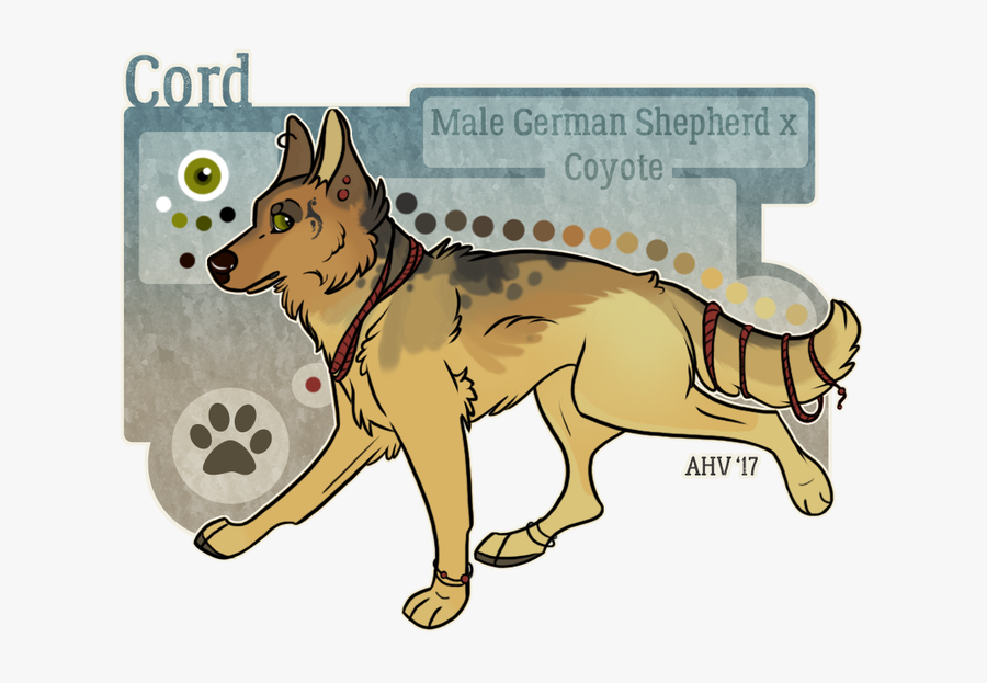 Picture - Old German Shepherd Dog, Transparent Clipart
