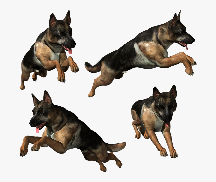 72813 - Guard Dog, Transparent Clipart