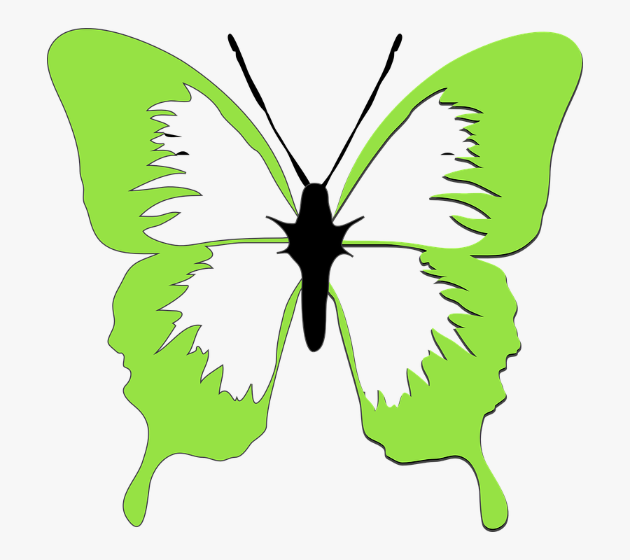 Butterfly, Drawing, Art, Beautiful, Pattern, Decorative - Red Butterfly Clip Art, Transparent Clipart