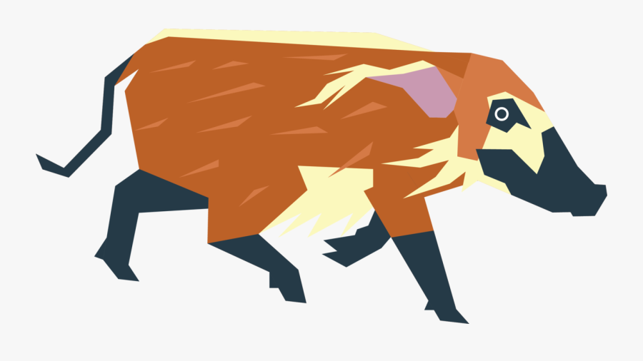 A Red River Hog I Saw Them For The First Time This - Red River Hog Png, Transparent Clipart