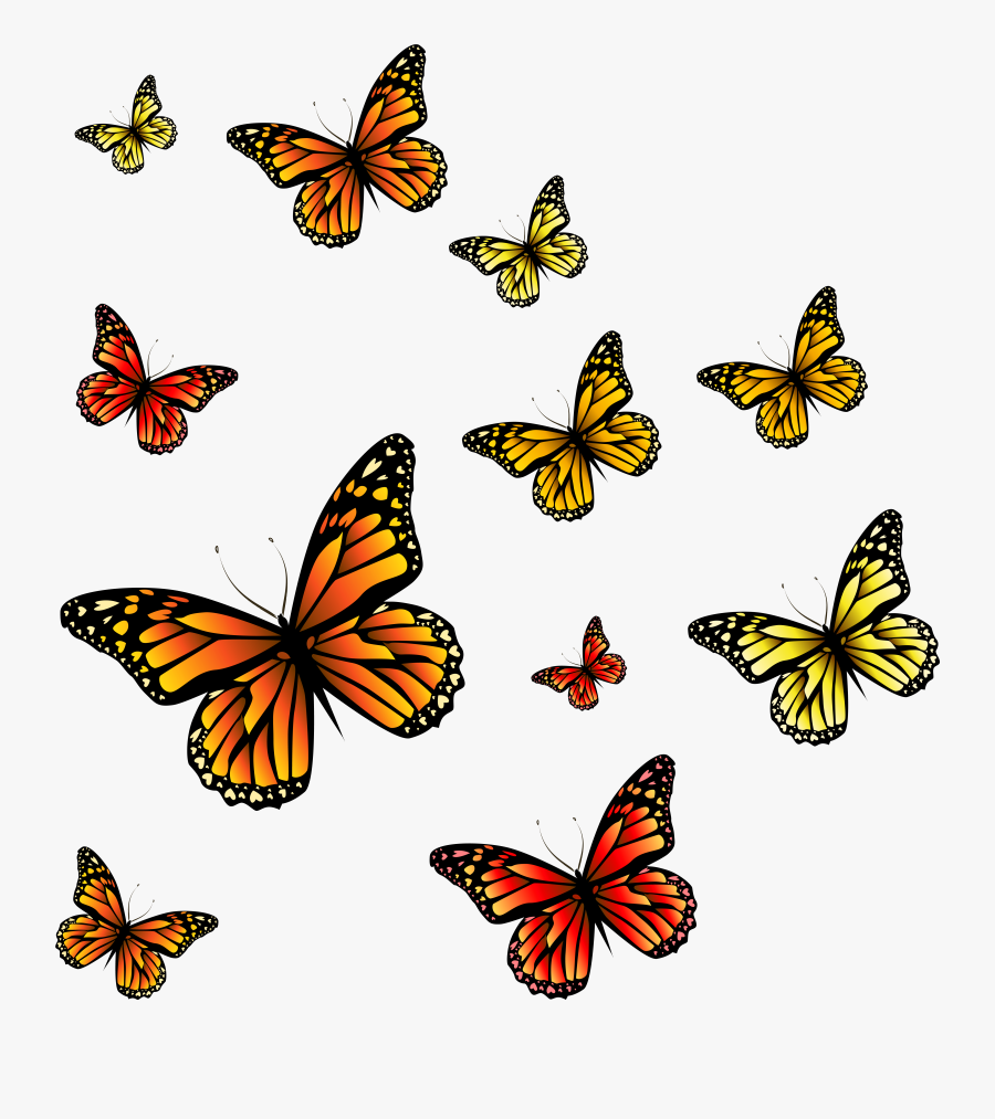 Monarch Clip Art Butterflies - Transparent Png Monarch Butterfly Butterfly Clip Art, Transparent Clipart