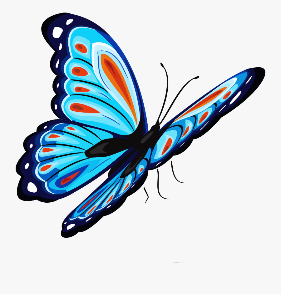 Butterfly Png Transparent - Butterfly Png, Transparent Clipart