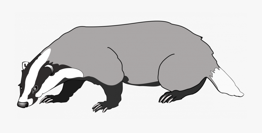 Hog Clip Art, Transparent Clipart