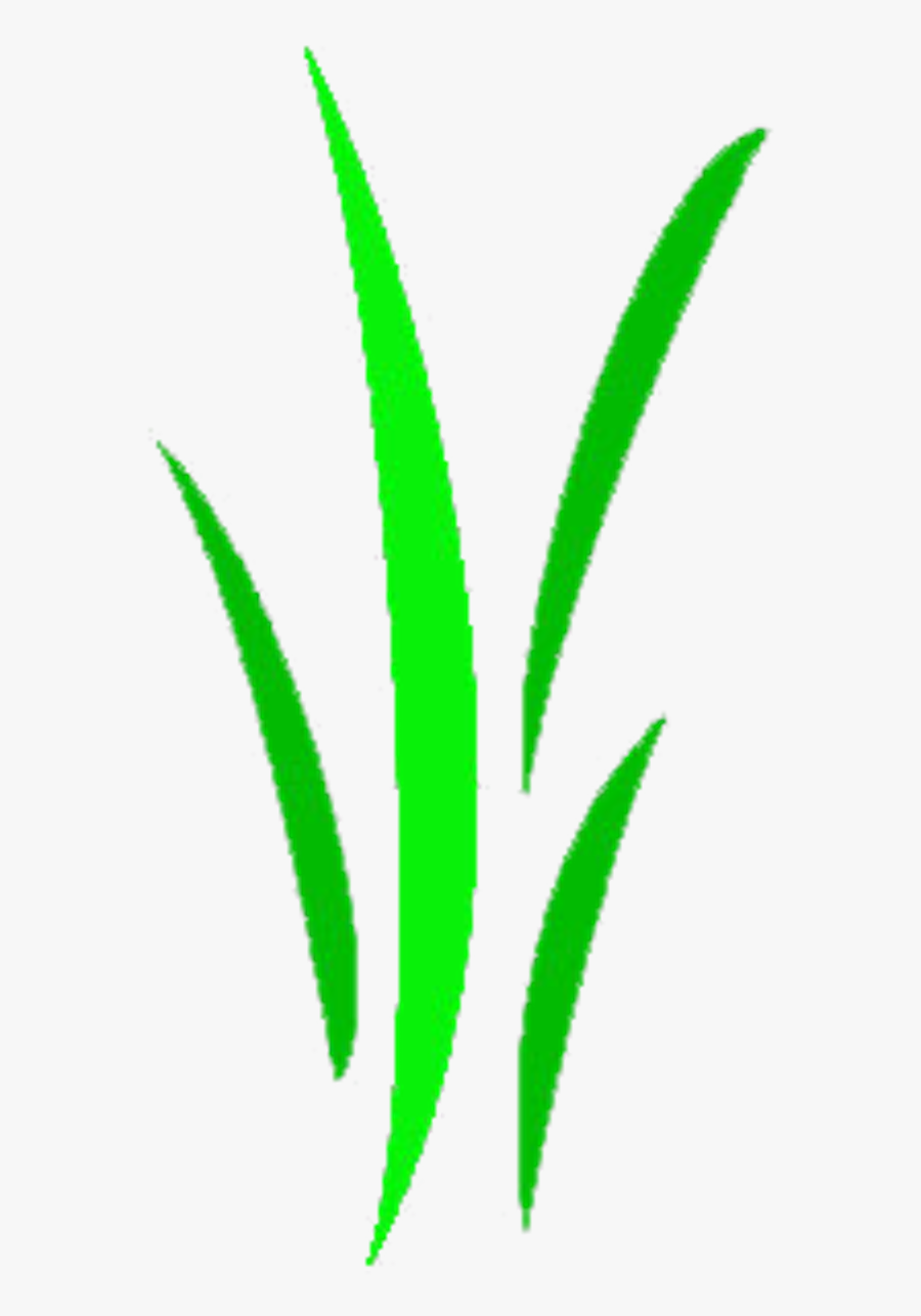 That Little Plant Shop, Transparent Clipart