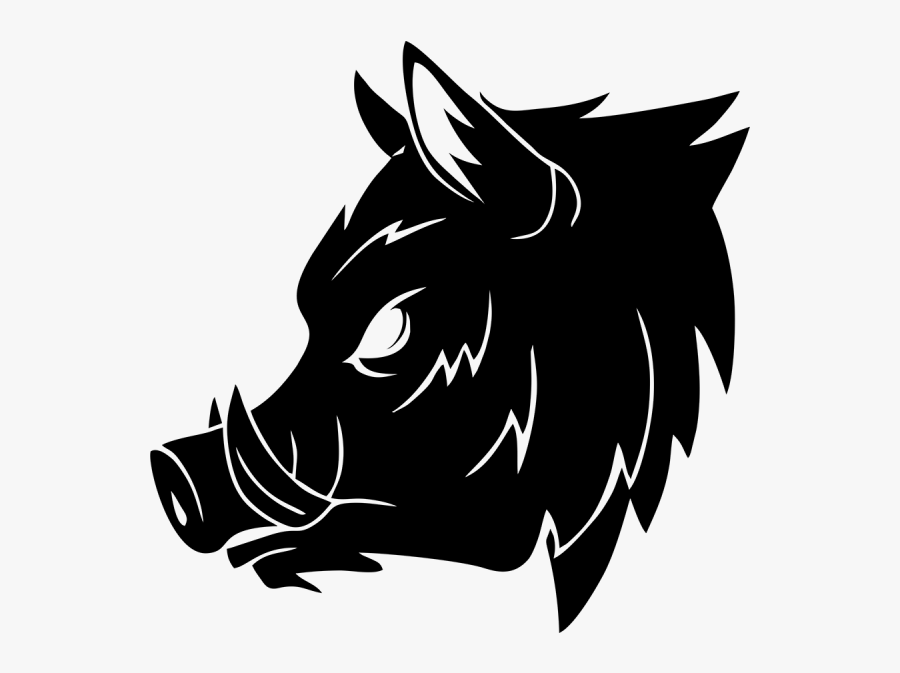 Boar Vector, Transparent Clipart