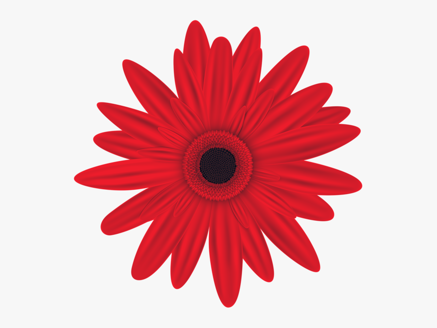 Pink Flowers Png, Transparent Clipart