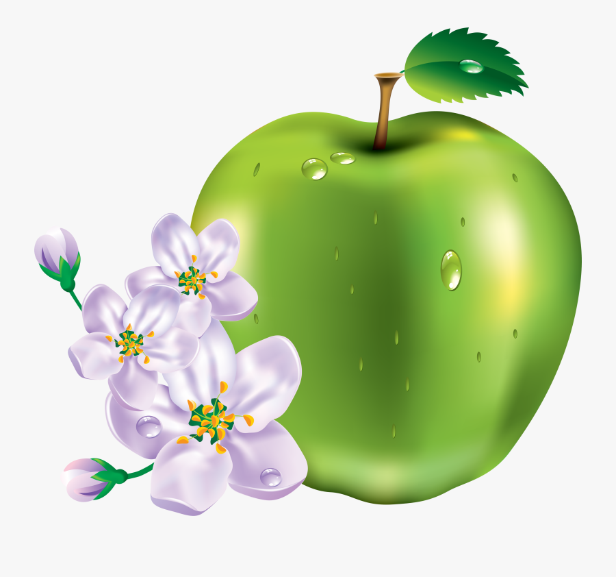 Apple Png - Green Apple With Flower Png, Transparent Clipart