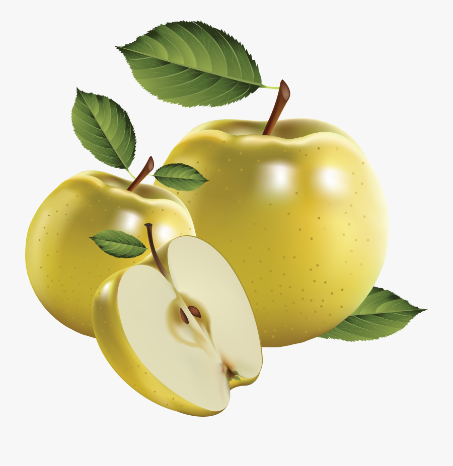 Green Apple"s Png Image - Realistic Fruit Vector, Transparent Clipart