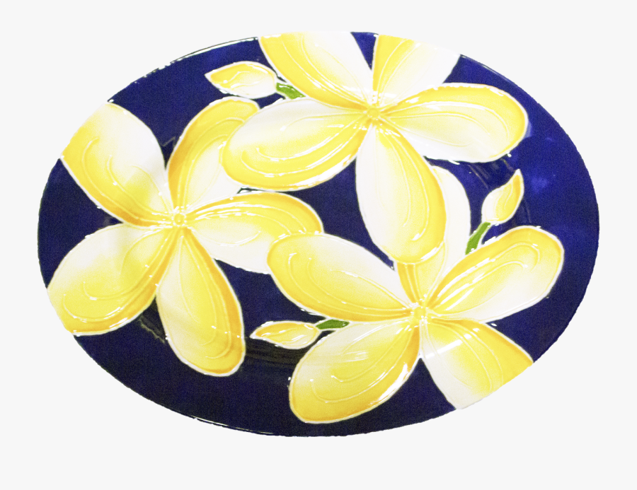 Frangipani, Transparent Clipart