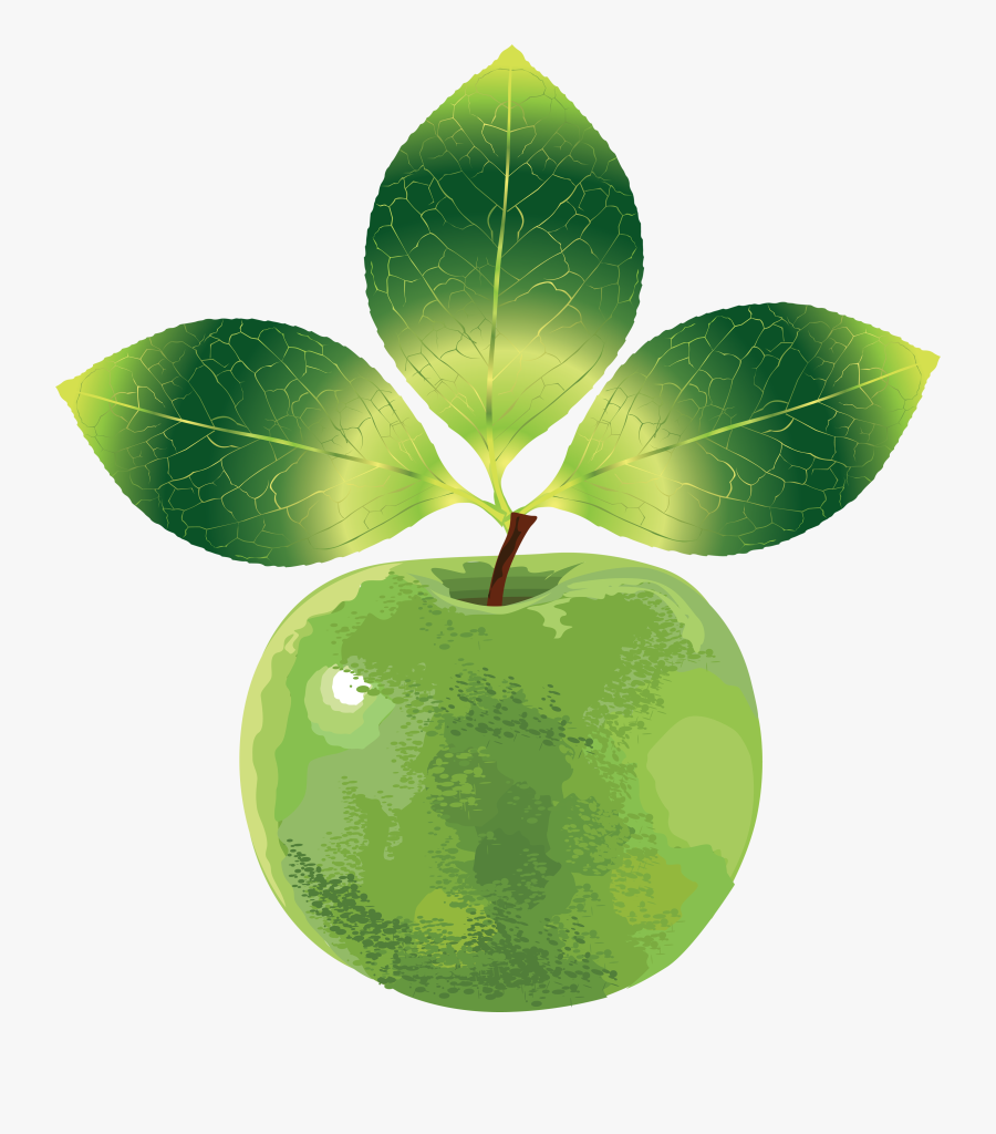 Transparent Background Transparent Green Apple, Transparent Clipart