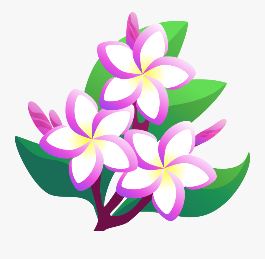 Gallery Item - Frangipani, Transparent Clipart
