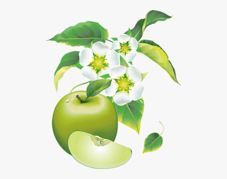 Dessin, Clipart - Рамка Яблоки Пнг, Transparent Clipart