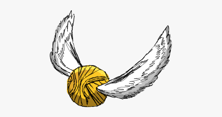 Harry Potter Cliparts - Harry Potter Quidditch Drawing, Transparent Clipart