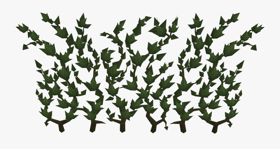 Ivy Clipart , Png Download - Runescape Ivy, Transparent Clipart
