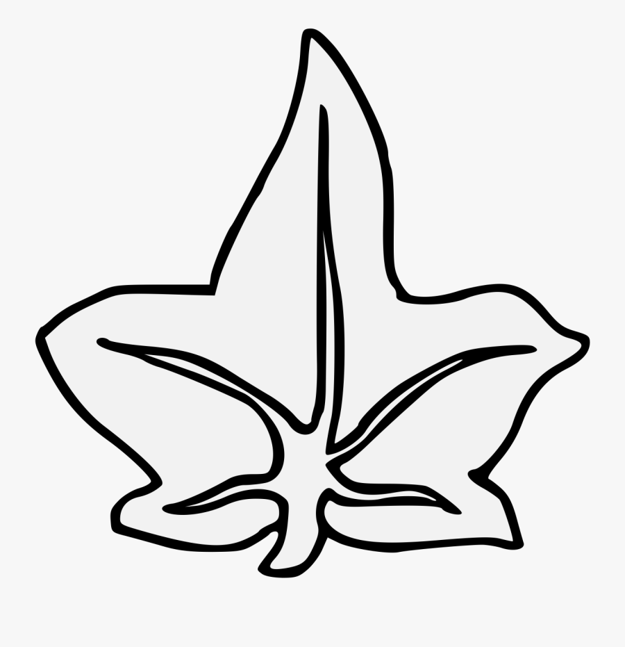 Transparent Ivy Clipart Black And White - Line Art, Transparent Clipart