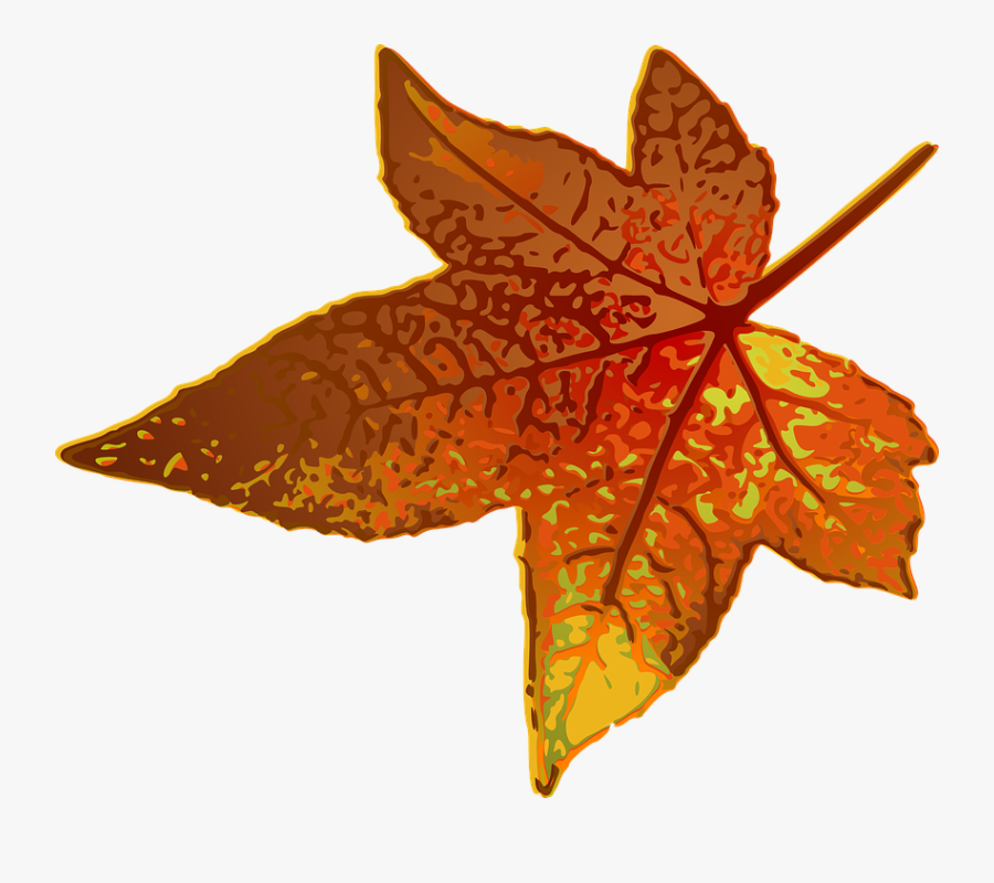 Transparent Fall Leaf Vector Png - Png Art Watercolor Leaves, Transparent Clipart
